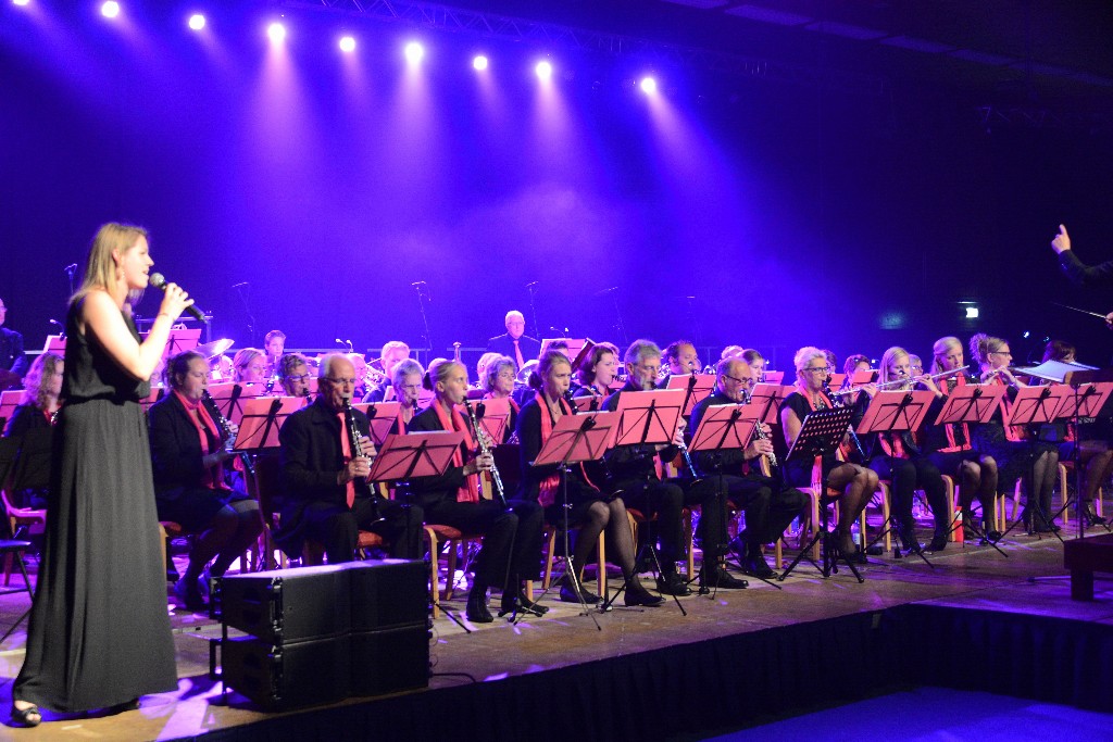 ../Images/Jubileumconcert 100 jaar Harpe Davids 069.jpg